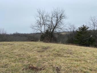 382 Hidden Acrs, Robertson County, KY, 41064