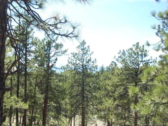 # CR-29, Fremont County, CO, 81223