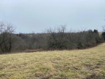 382 Hidden Acrs, Robertson County, KY, 41064