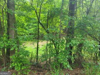 TRACT #1/1 Fincherville Road, Jackson, GA, 30233
