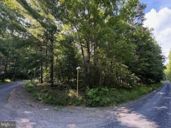 Lot 241/ Mine Mountain Lane, Fort Valley, VA, 22652