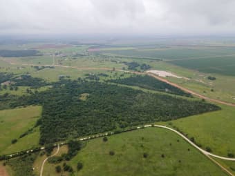155 -000351, Calvert, TX, 77837