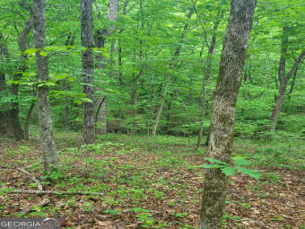 TRACT #1/1 Fincherville Road, Jackson, GA, 30233