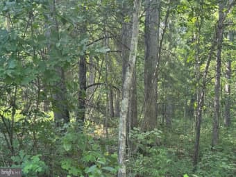 Lot 241/ Mine Mountain Lane, Fort Valley, VA, 22652