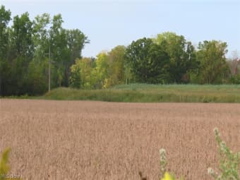 7522 East Harbor Road, Ottawa County, OH, 43440