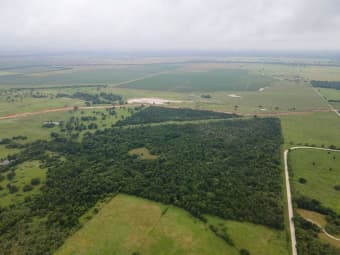 155 -000351, Calvert, TX, 77837