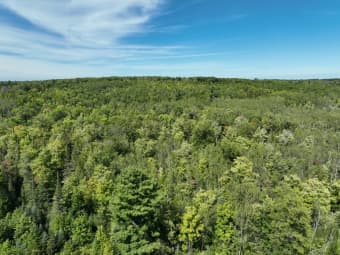 000 Sutherland Road, Mason, WI, 54856