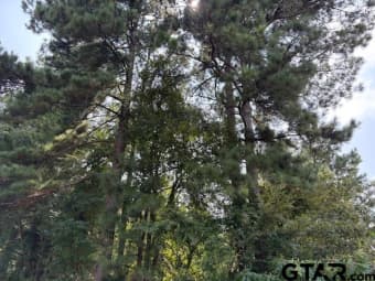 13953405 CR-3405, Jacksonville, TX, 75766