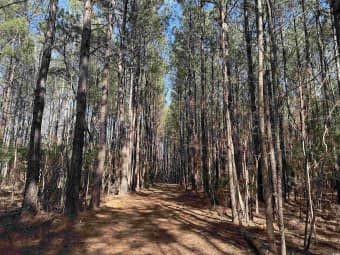 TBD Union Church Road, Salters, SC, 29590