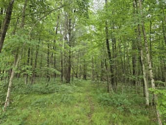 5369 East 68th Street, Lake County, MI, 49623