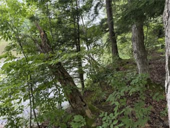  County Route 179, Chaumont, NY, 13622