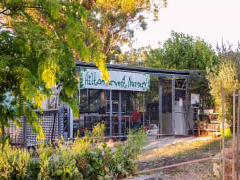 17A Harwood St, Hilton, WA, 6163