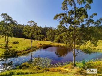 811 Newmans Road, Topi Topi, NSW, 2423