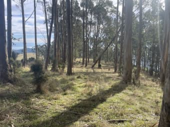 64 Oreillys Hill Rd, Jumbuk, VIC, 3869