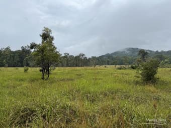 Lot 42/690 Willina Road, Willina, NSW, 2423