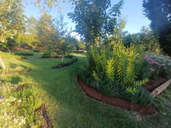 133 Emu Bay Road, Deloraine, TAS, 7304