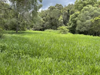 66 Basin Road, Wamuran Basin, QLD, 4512
