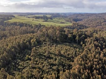 PID 6191426 South Riana Road, Upper Natone, TAS, 7321