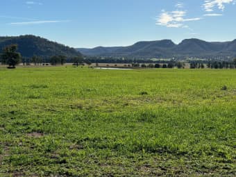 100 Richmond Grove Road, Sandy Hollow, NSW, 2333