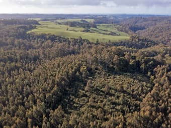 PID 6191426 South Riana Road, Upper Natone, TAS, 7321