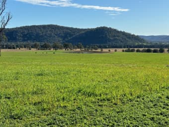 100 Richmond Grove Road, Sandy Hollow, NSW, 2333