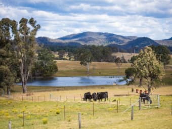 73 Cherry Lane, Wolumla, NSW, 2550