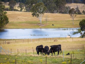 73 Cherry Lane, Wolumla, NSW, 2550