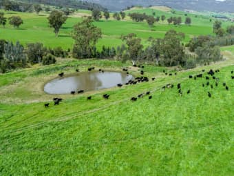 'Peberdy' Dalswinton Road, Dalswinton, NSW, 2328