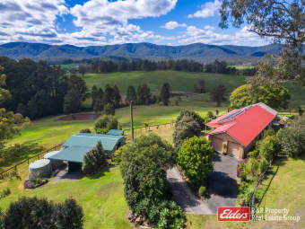 1136 Markwell Rd, Markwell, NSW, 2423