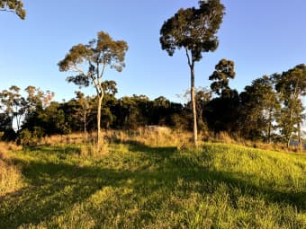 514 Dunwoody Rd, Ball Bay, QLD, 4741
