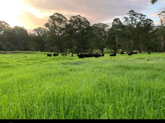Lot 4 Marden Lane, Kangaroo Valley, NSW, 2577