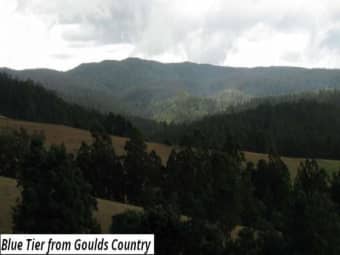 755 Lottah Road, Goulds Country, TAS, 7216