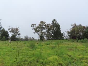 3 Grandview Place, Quirindi, NSW, 2343