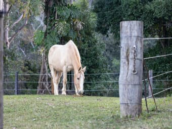 104 Robinson Road South, Ocean View, QLD, 4521