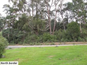 755 Lottah Road, Goulds Country, TAS, 7216