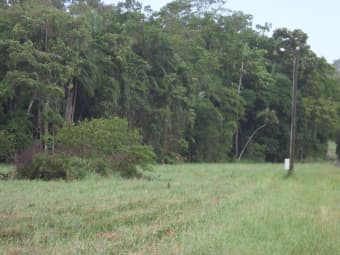 Yakapari Maraju Yakapari Road, The Leap, QLD, 4740