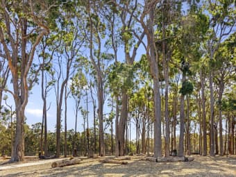 PL 64 Marginata Road, Witchcliffe, WA, 6286