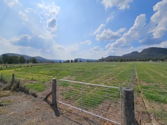 15 Goulburn Dr, Sandy Hollow, NSW, 2333
