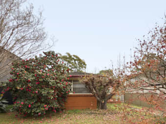 42 Apex Avenue, Picnic Point, NSW, 2213