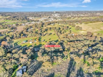 21 Dairymans Lane, Young, NSW, 2594