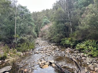 711 Judds Creek Road, Judbury, TAS, 7109
