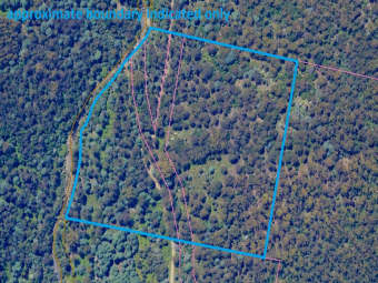 711 Judds Creek Road, Judbury, TAS, 7109