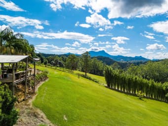 55 Mount Burrell Road, Mount Burrell, NSW, 2484