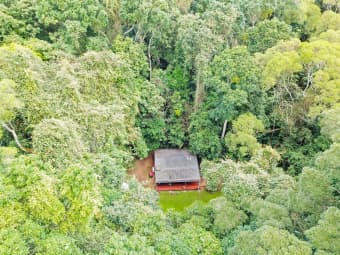 85 Figtree Close, Malanda, QLD, 4885