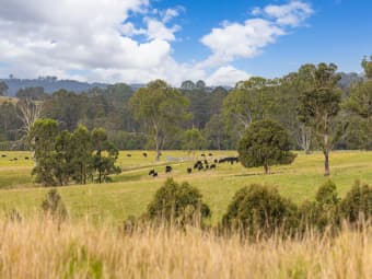 179 Norries Road, Bunyah, NSW, 2429