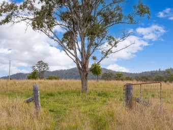 179 Norries Road, Bunyah, NSW, 2429