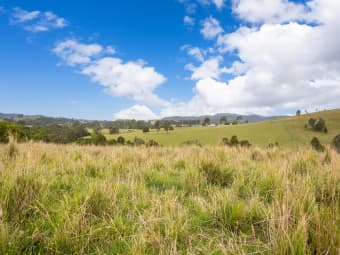 179 Norries Road, Bunyah, NSW, 2429