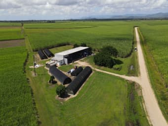 267 Mortons Road, Lannercost, QLD, 4850