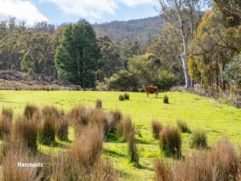 Lot 2/310 Judds Creek Road, Judbury, TAS, 7109