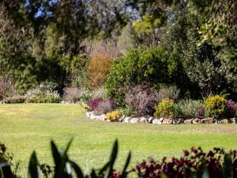 90 Waterloo Rd, Firefly, NSW, 2429